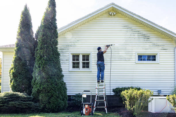Professional Pressure Washing in Bruceville Eddy, TX